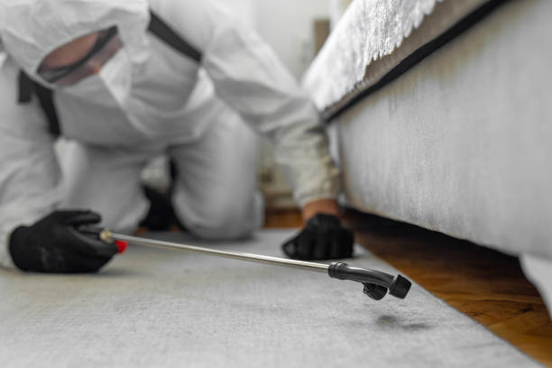 Professional Pest Control technician working in Leon County County, FL